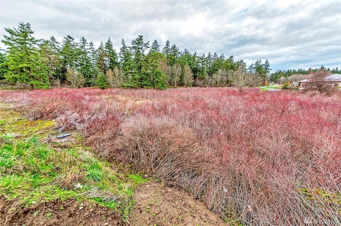 0 Discovery Rd - Photo 1