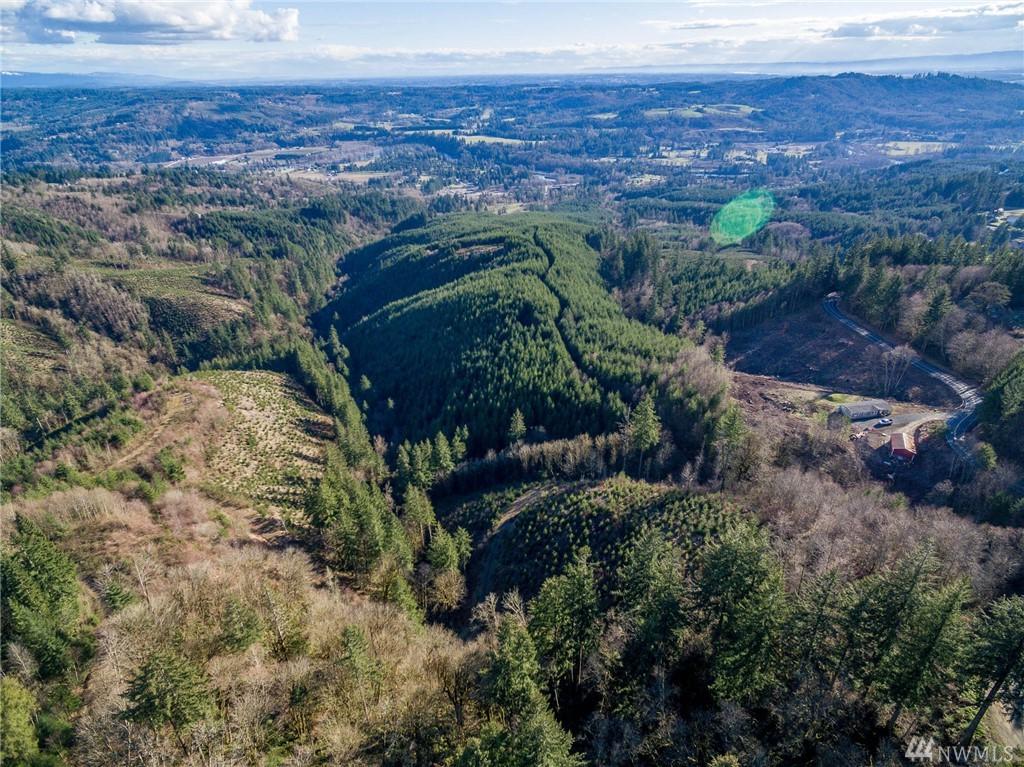 0 Little Kalama River Road - Photo 1