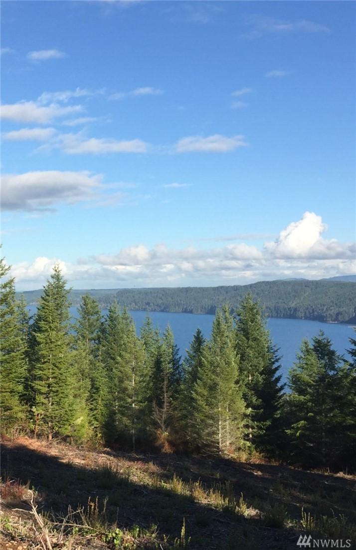 0 Hamma Ridge Dr - Photo 1