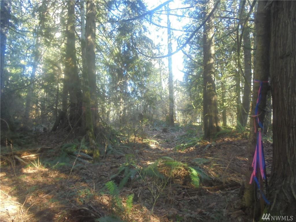8000 Center Rd - Photo 1