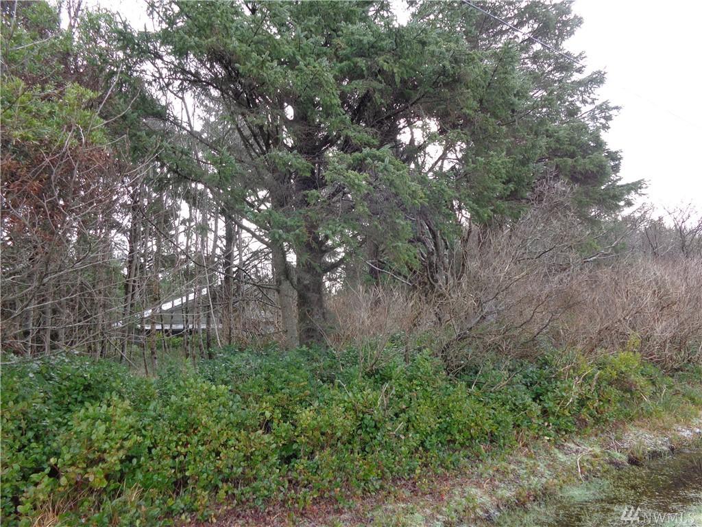 470 Volans Ave - Photo 1