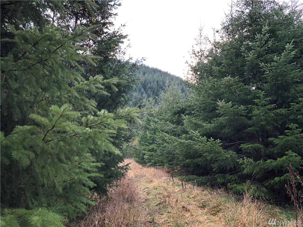 4703 State Route 6 - Photo 1