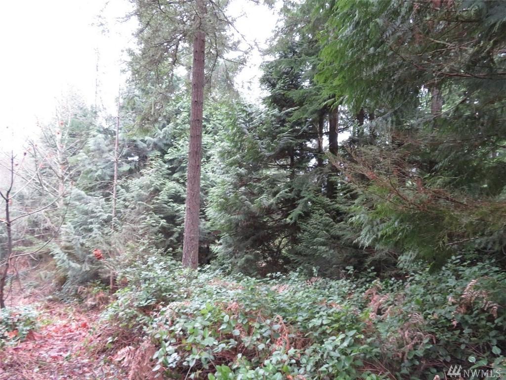 0-Lot 1 Overra Rd - Photo 1