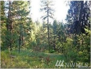113940 (Lots 11, 39, 40) Lillooet Dr - Photo 1