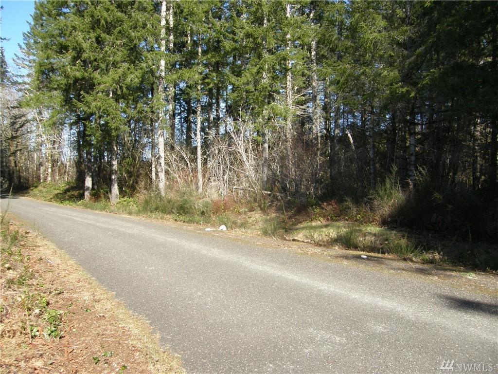 0-Lot 4 Benthein Rd - Photo 1
