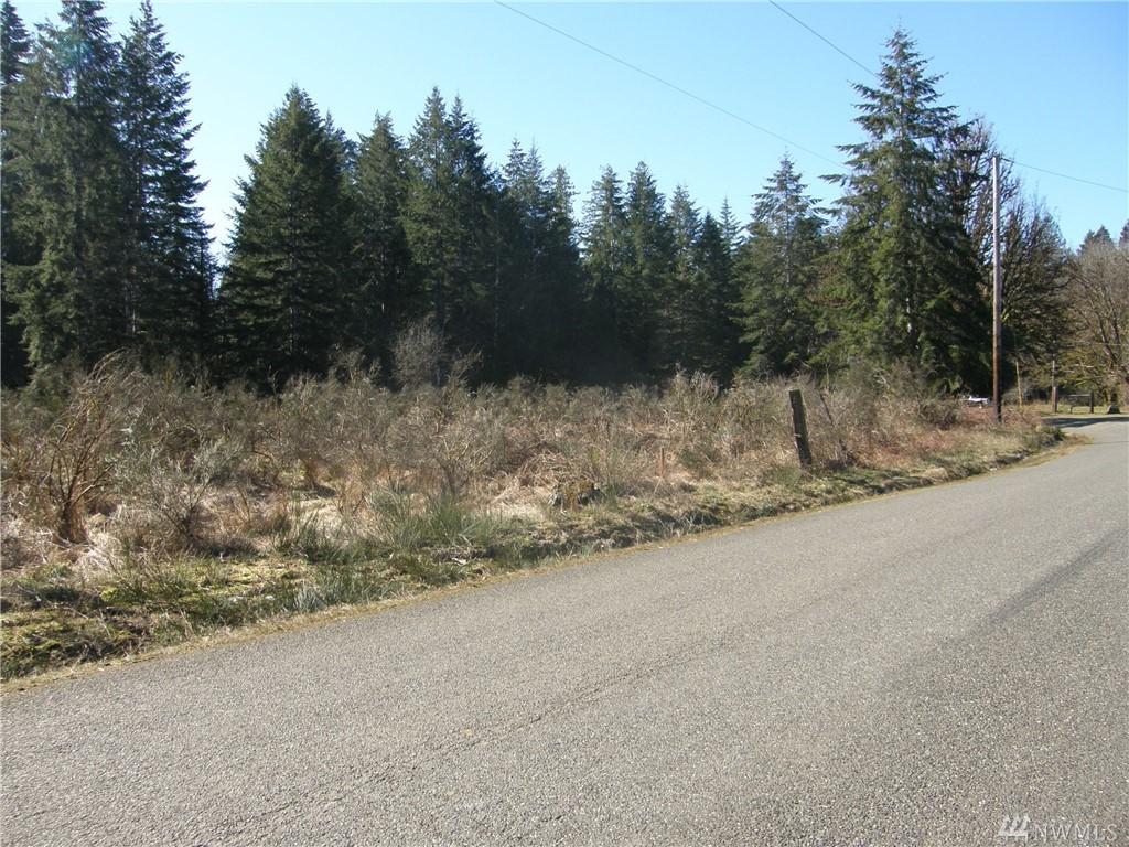 0-Lot 1 Benthein Rd - Photo 1