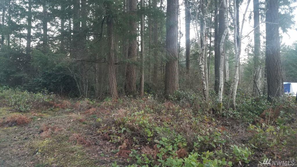 325 Satsop Ave - Photo 1