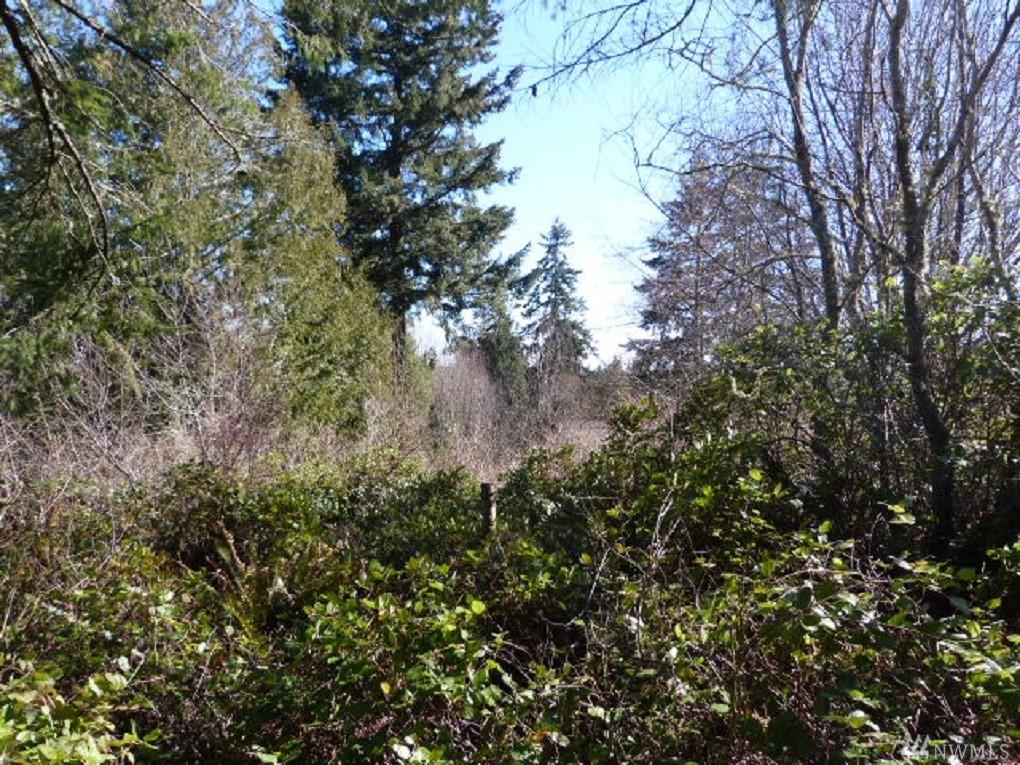 47 Camano Lane - Photo 1