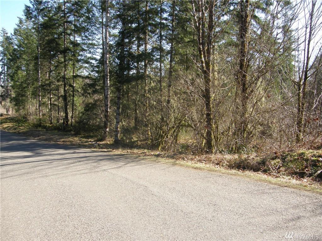 0-Lot 2 Benthein Rd - Photo 1