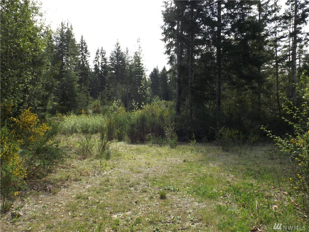 93 Kenosha Pass Rd - Photo 1