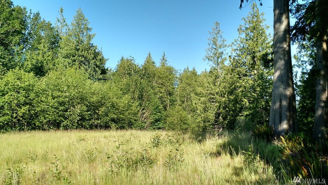0-NHN Blackburn Rd - Photo 1
