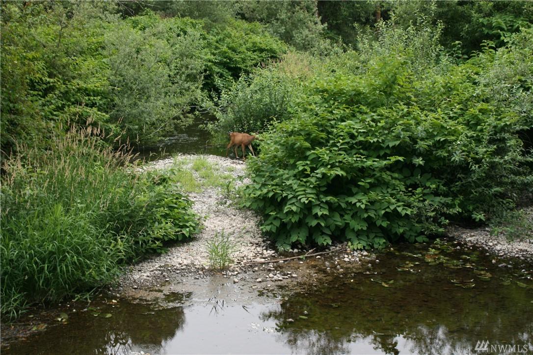 68 Heise Rd - Photo 1