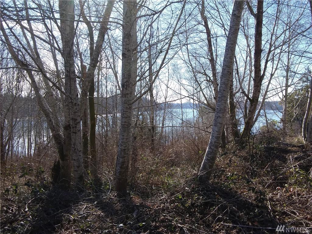 0 Swindler Cove Road - Photo 1