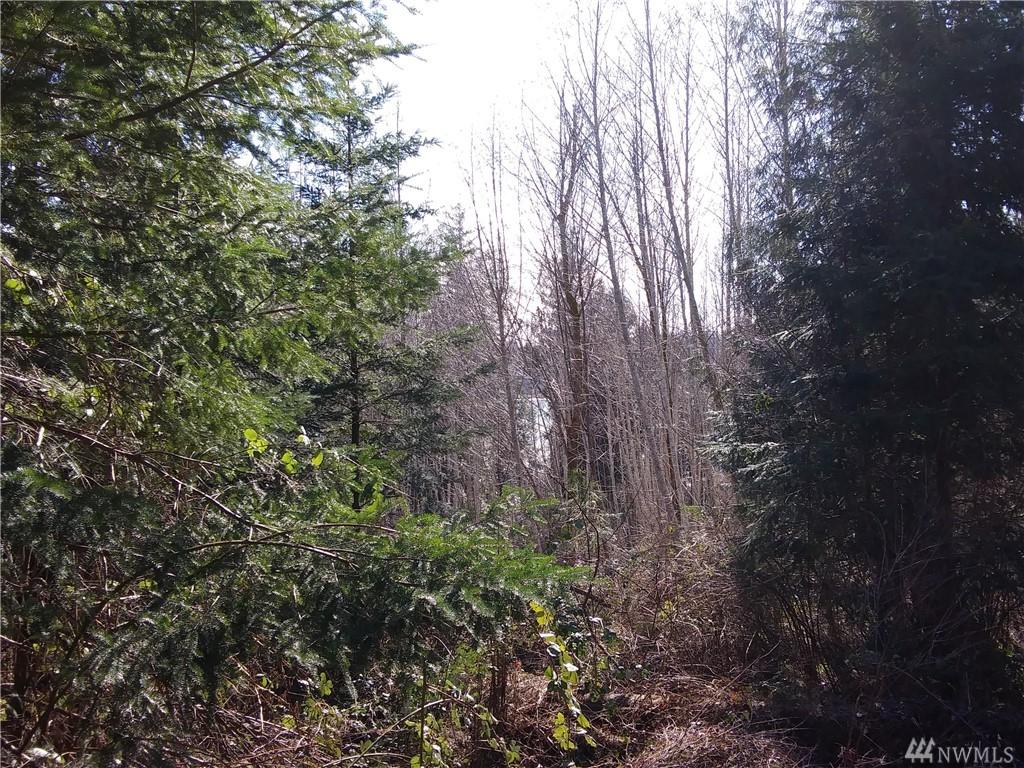 0 Swindler Cove Road - Photo 1