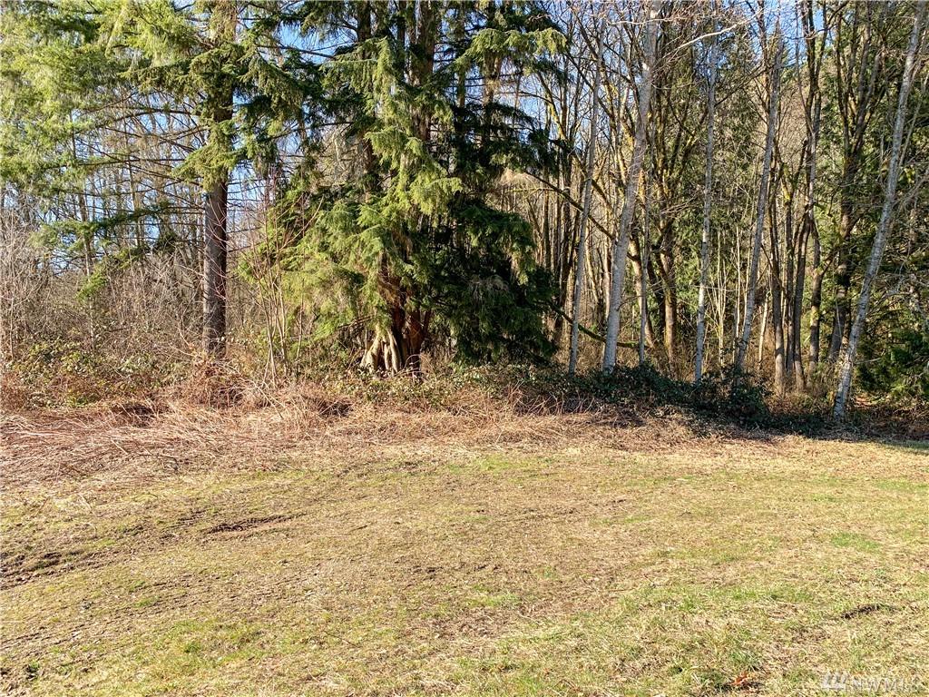 0 Jim Creek Rd - Photo 1