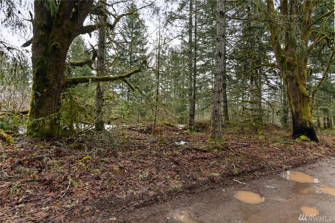0 Fern Lane - Photo 1