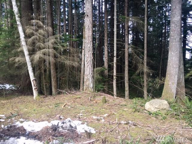 21 Bramble Wy - Photo 1