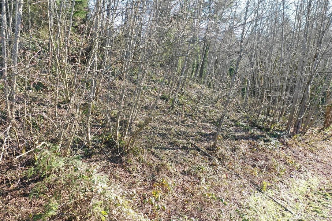 3911 Dash Point Rd - Photo 1