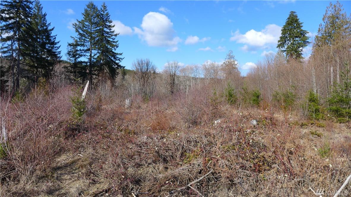 700 Elson Road - Photo 1