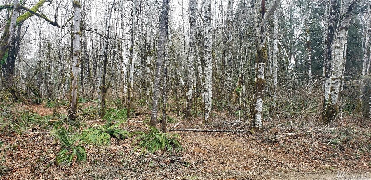 0 Oak Meadows Rd - Photo 1