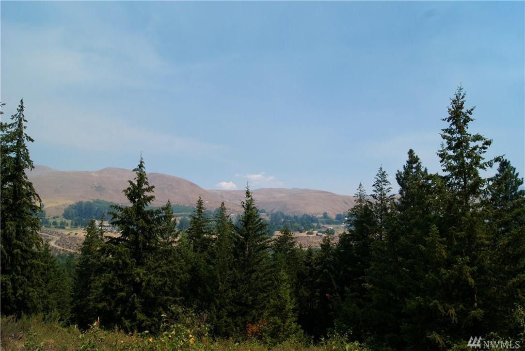 0 Poorman Creek Rd - Photo 1
