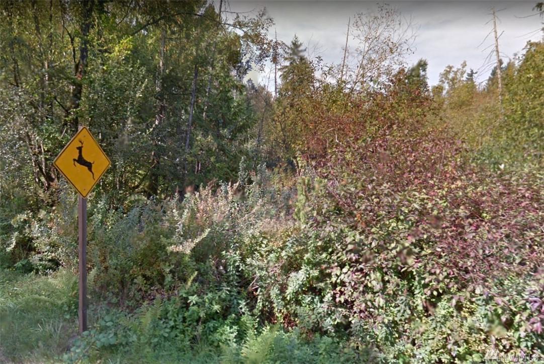 0-xx Se Lake Moneysmith Rd - Photo 1