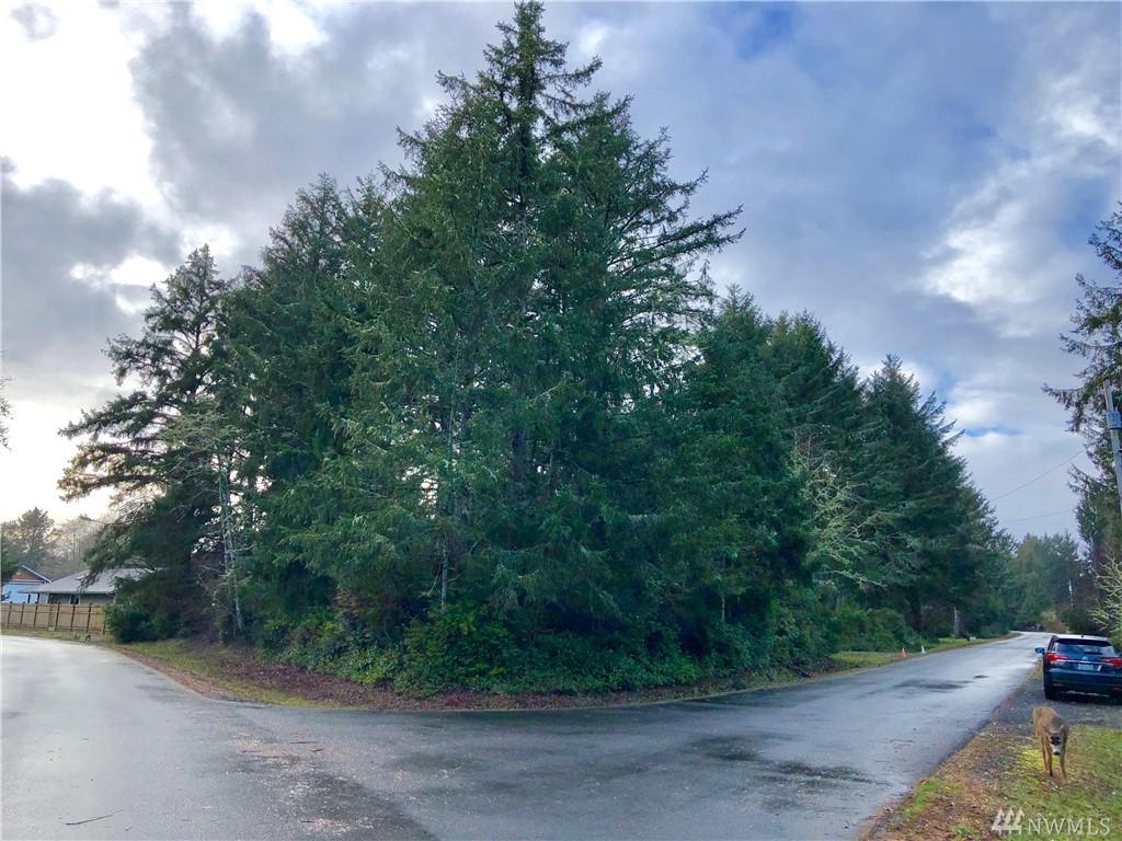 220 Cape Alava St - Photo 1