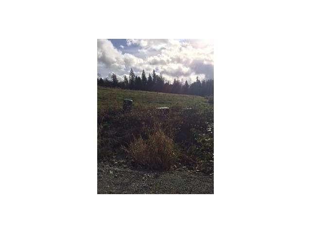 24130 Nookachamp Hills Drive - Photo 1