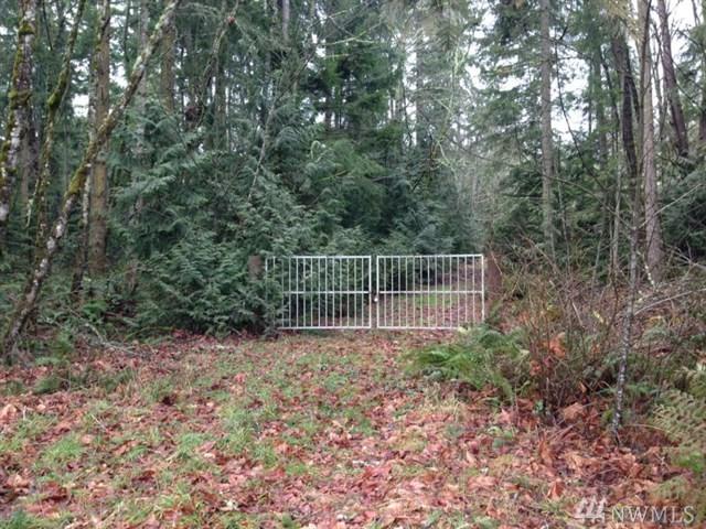 40128 Mountain Hwy - Photo 1