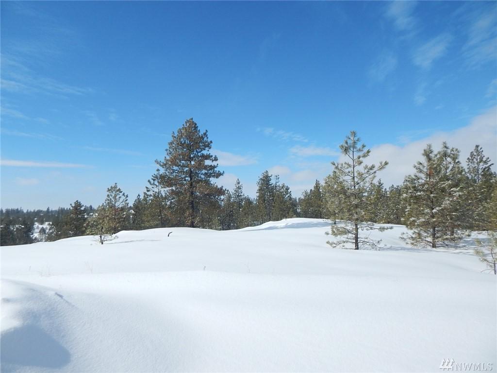 0-Lot 8 Prairie Lane - Photo 1