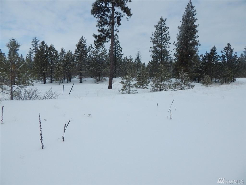 0-Lot 12 Prairie Lane - Photo 1
