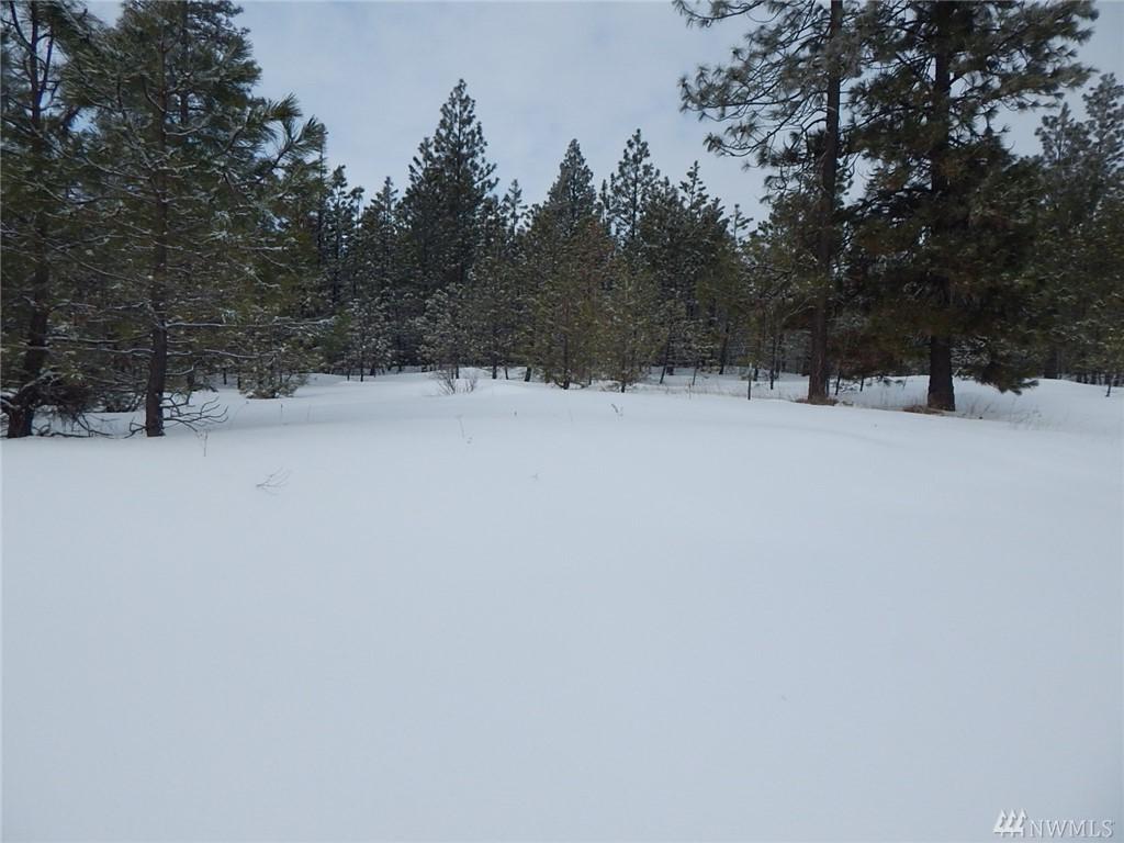 0-Lot 13 Prairie Lane - Photo 1