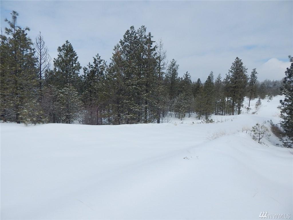 0-Lot 14 Prairie Lane - Photo 1