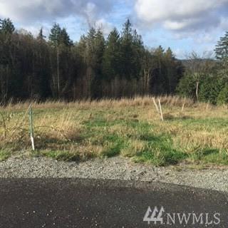 24026 Dolphin Lane - Photo 1