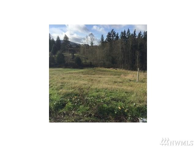 24167 Fly Fish Lane - Photo 1
