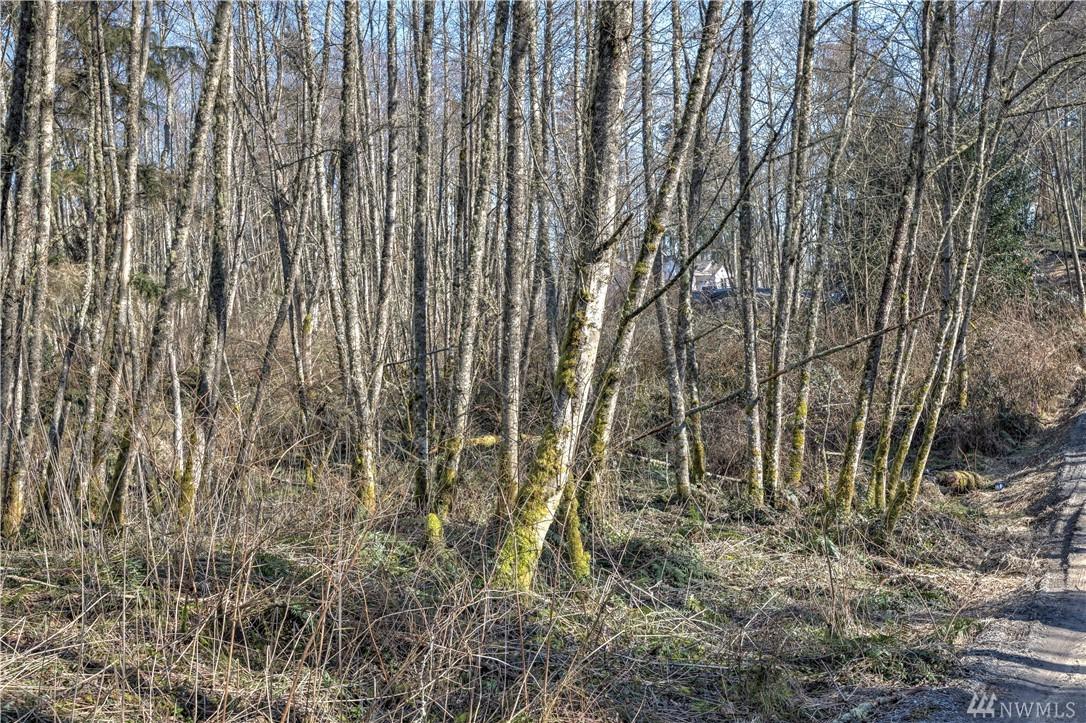 0-XXX Red Fox Lane - Photo 1