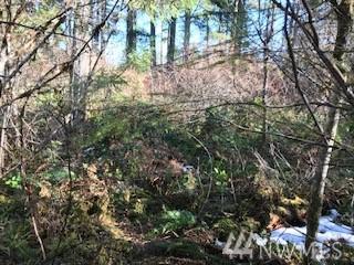 0 Buck Prairie Rd - Photo 1