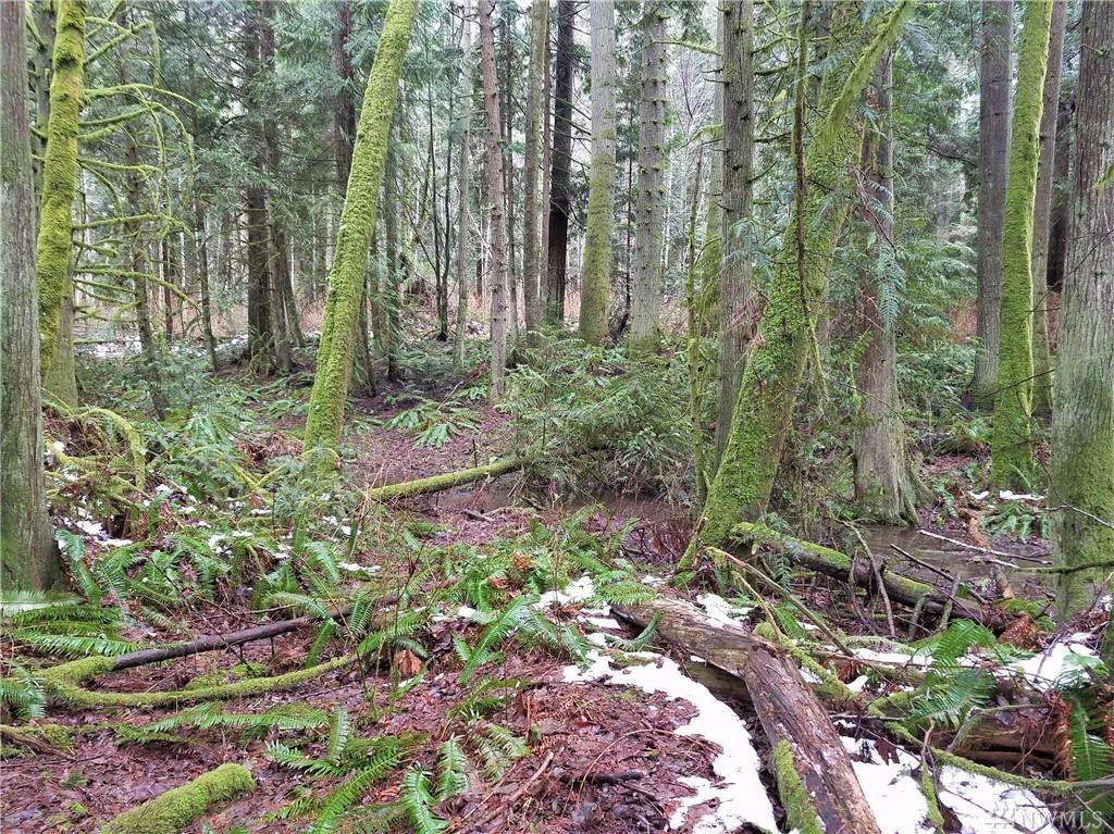 0-Lot B Iron Lane - Photo 1