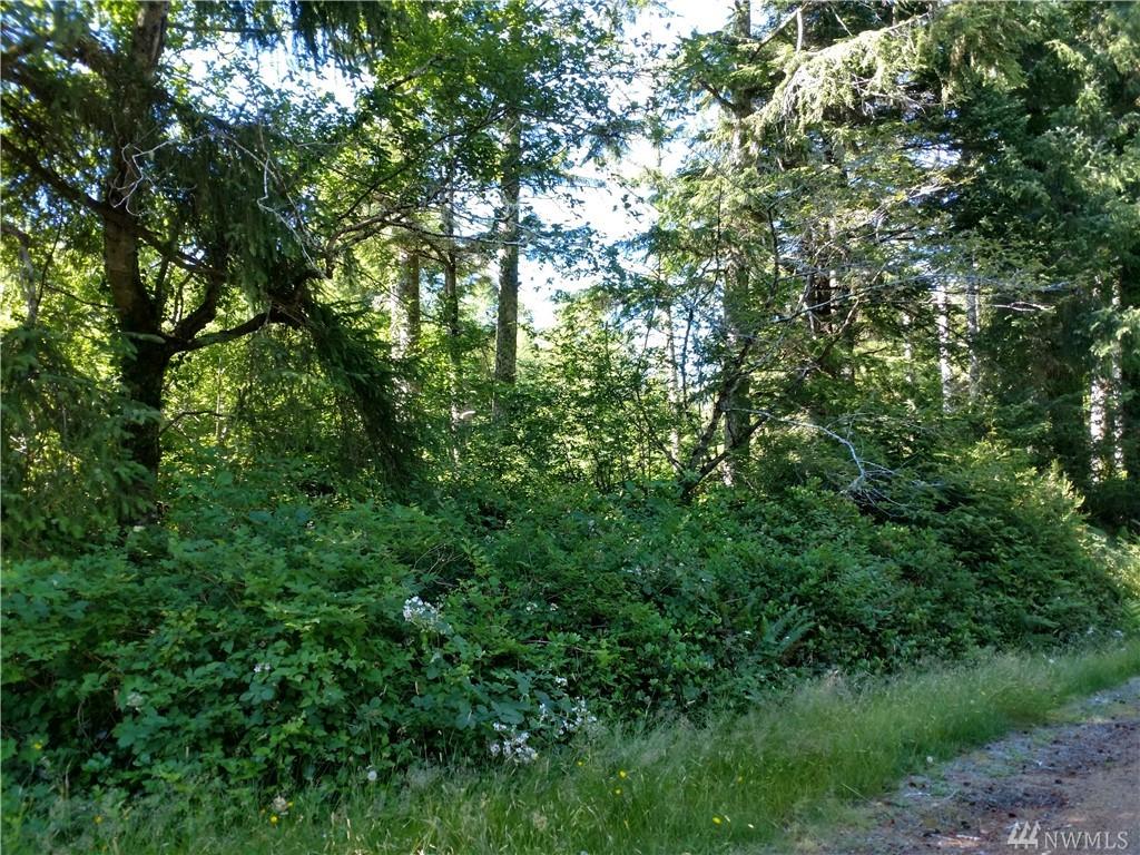 0 (1.55 Acre) Stackpole Rd - Photo 1