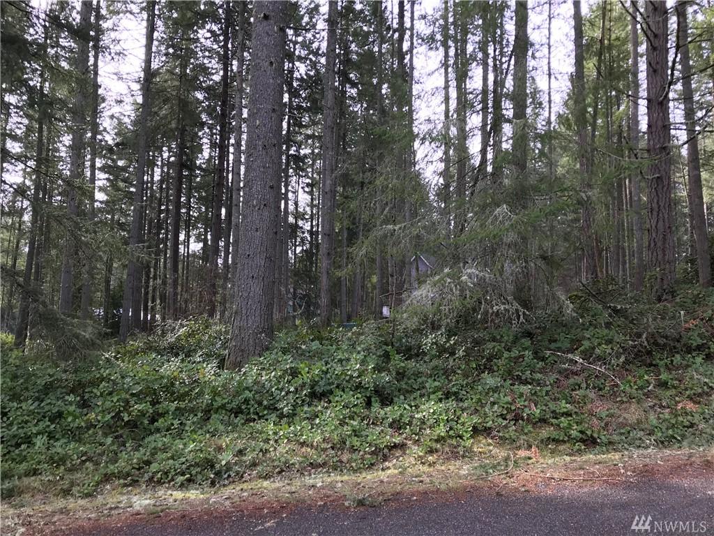 11116 Country Club Dr - Photo 1