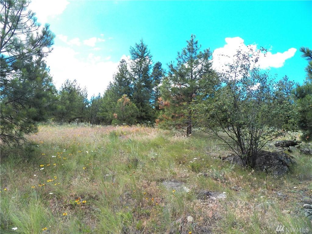 111 Tbd Cayuse Mt. Rd - Photo 1