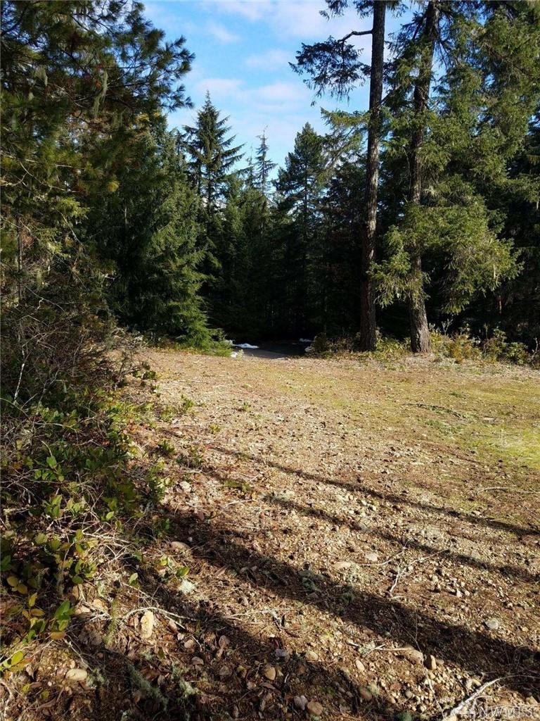 31 Salal Lane - Photo 1