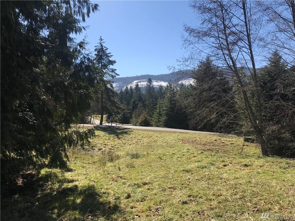 0 Fox Hollow Rd - Photo 1