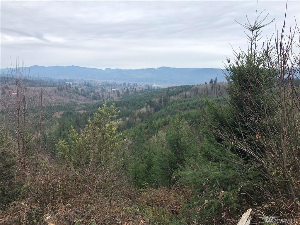 0 Gray Rd - Photo 1