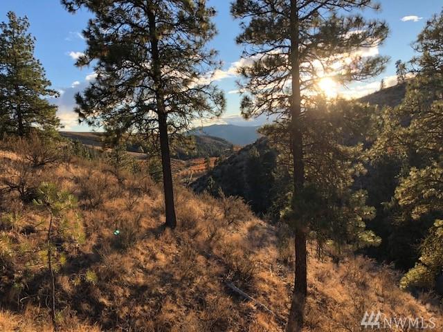 0 Cooper Gulch Rd - Photo 1