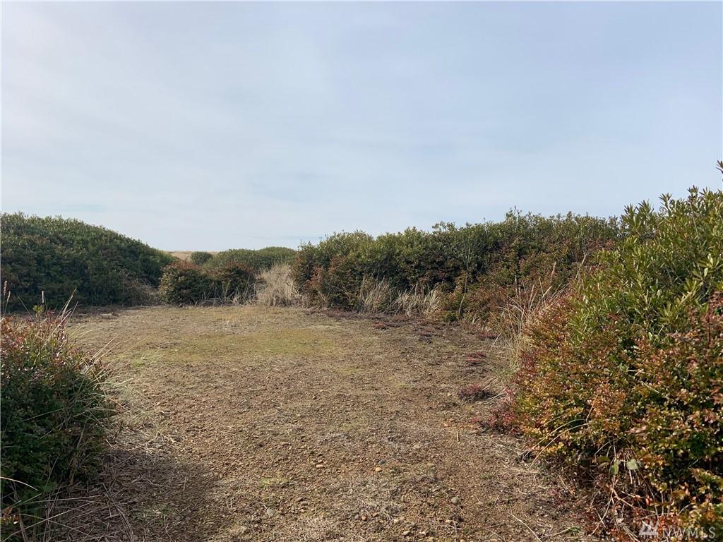 1097 Ocean Shores Blvd - Photo 1