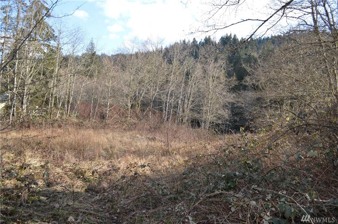 0-Lot 5-8 Old Samish Rd - Photo 1