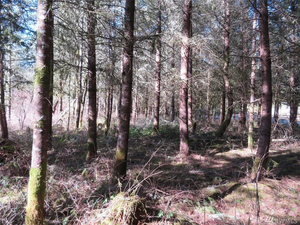0-XXX Mcintosh Lane - Photo 1
