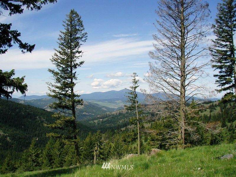 0 Horseshoe Mt. Road - Photo 1