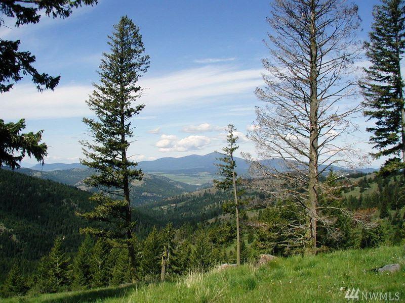0-TBD Horseshoe Mt. Rd - Photo 1